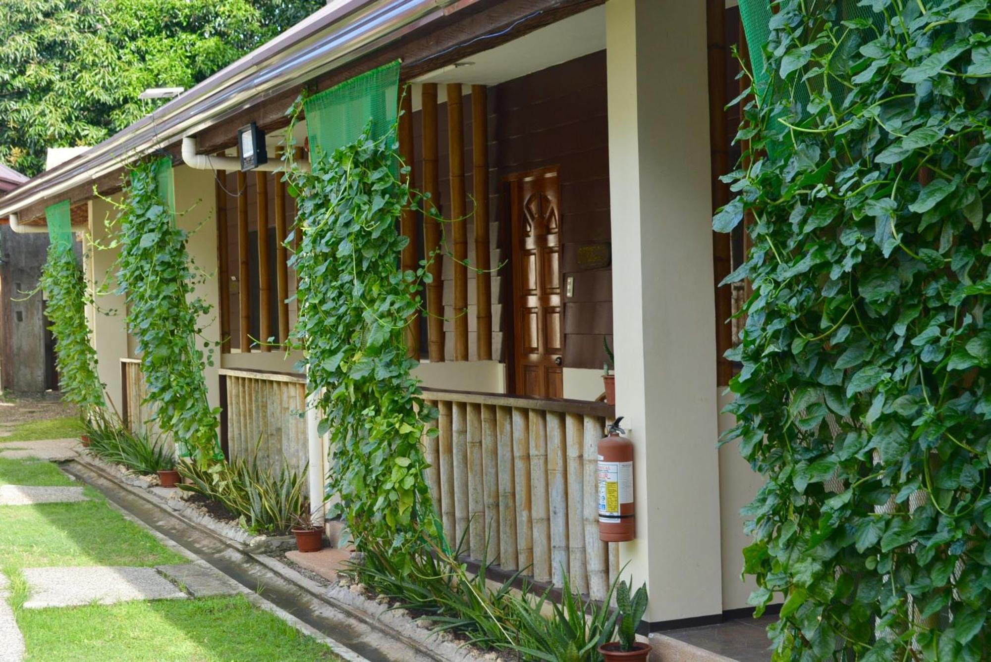 Chiisai Natsu Resort Bolod  Εξωτερικό φωτογραφία